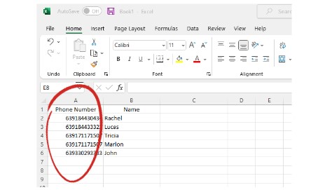 CSV file with phone numbers